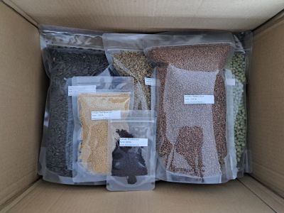 4 Seminka microgreens k odeslani
